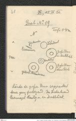 Seite 77, Tagebuch "Dürnstein | Wöbling - neol. | Höbenbach | Kl. Rust | Noppendorf" (NHMW-PRAE-BBB-45)